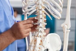 Harrisonburg Spinal Cord Injury Lawyer